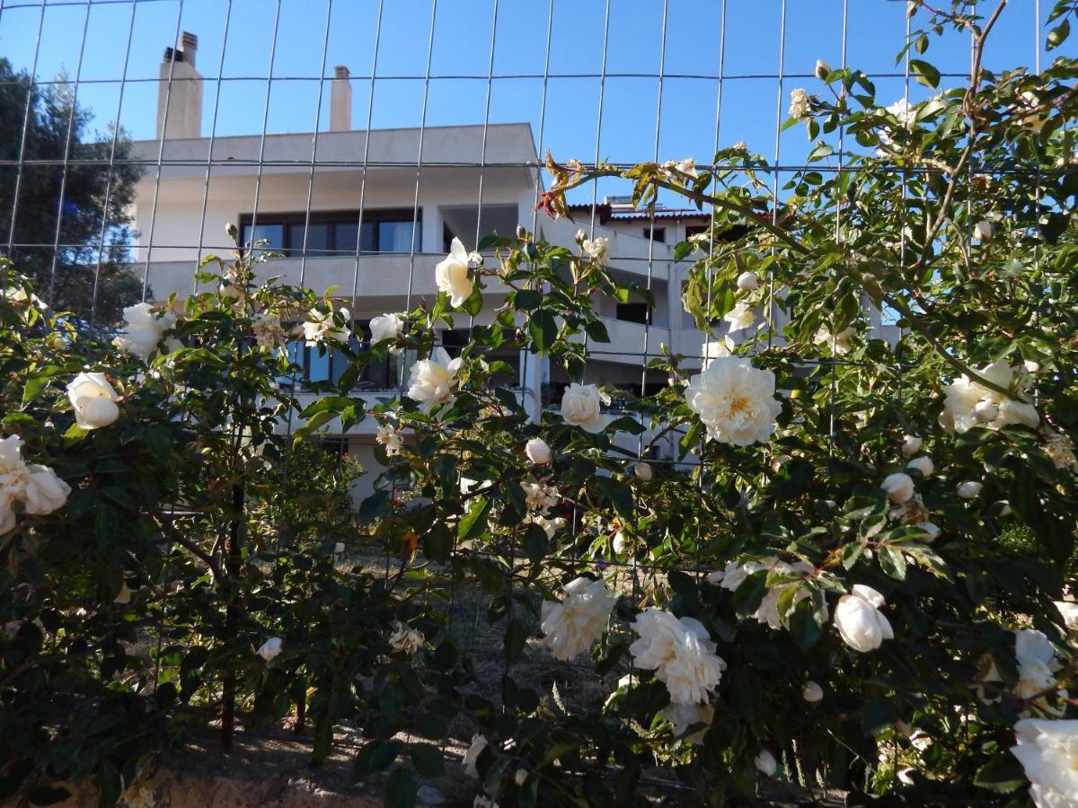 Апартаменты Οδυσσεια, Κοντά Σε Αεροδρόμιο, Λιμάνια Και Θάλασσες Keratea Экстерьер фото