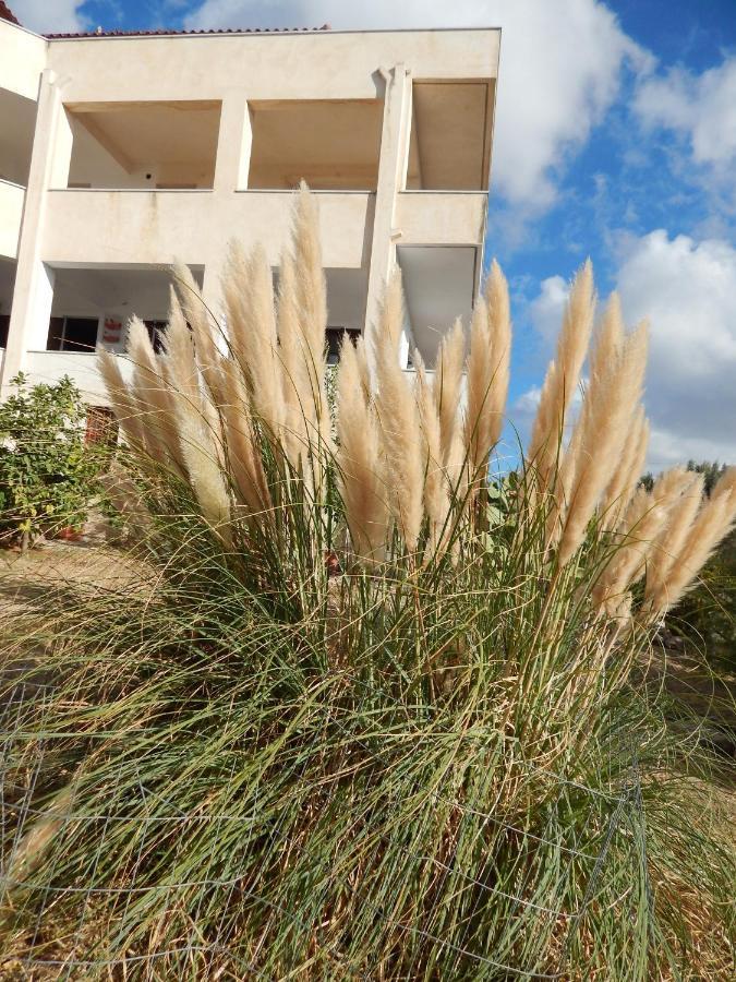 Апартаменты Οδυσσεια, Κοντά Σε Αεροδρόμιο, Λιμάνια Και Θάλασσες Keratea Экстерьер фото