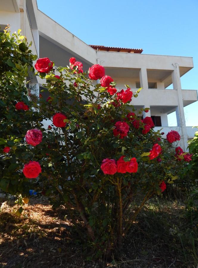 Апартаменты Οδυσσεια, Κοντά Σε Αεροδρόμιο, Λιμάνια Και Θάλασσες Keratea Экстерьер фото