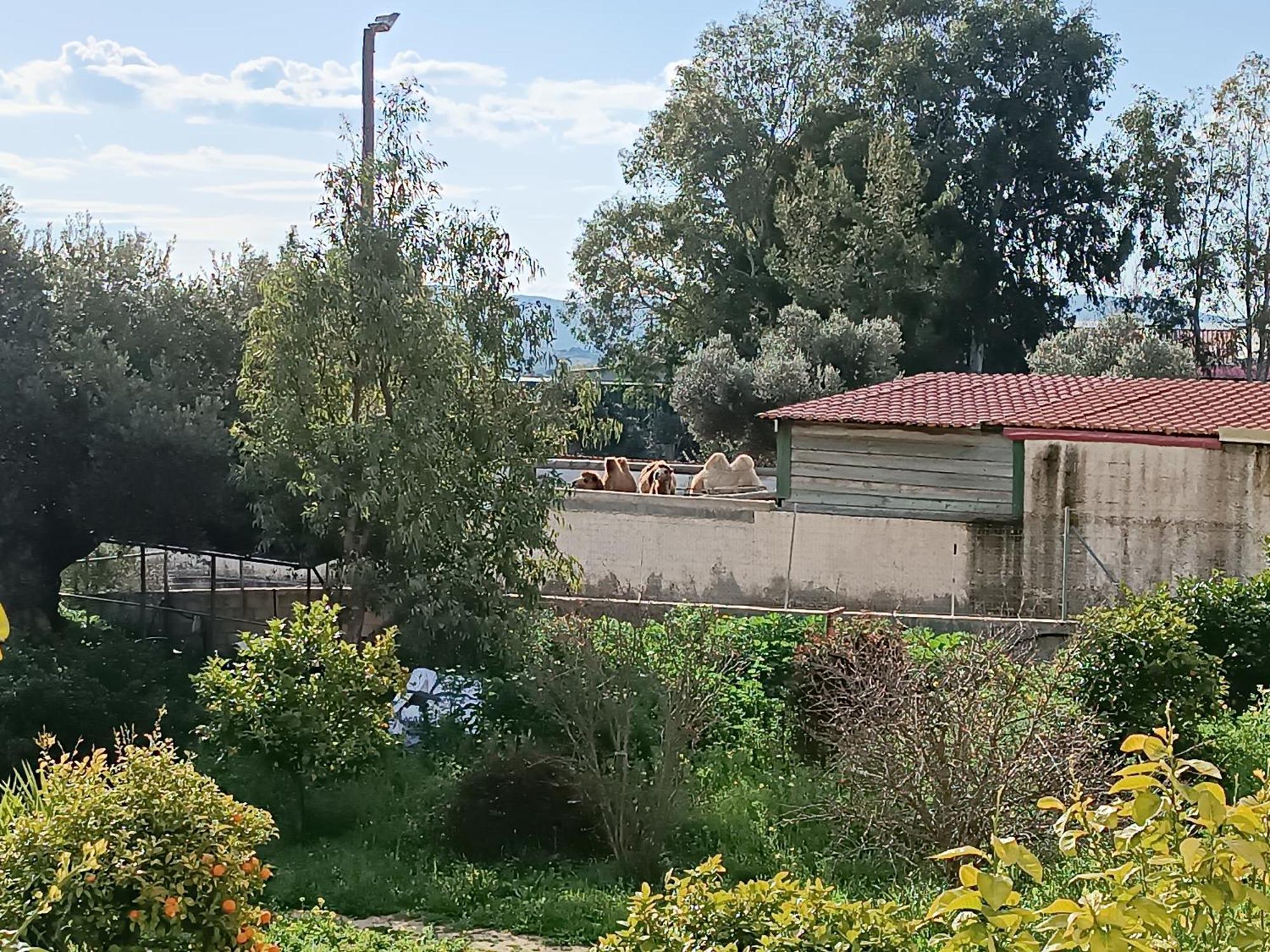 Апартаменты Οδυσσεια, Κοντά Σε Αεροδρόμιο, Λιμάνια Και Θάλασσες Keratea Экстерьер фото